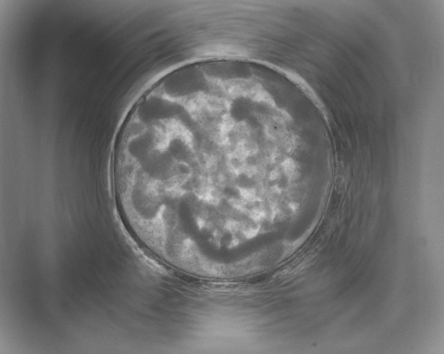 X0000072521295200608111710