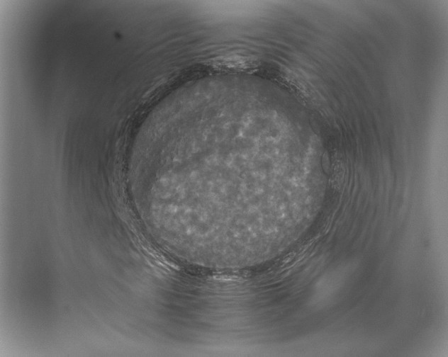 X0000072521297200608111709