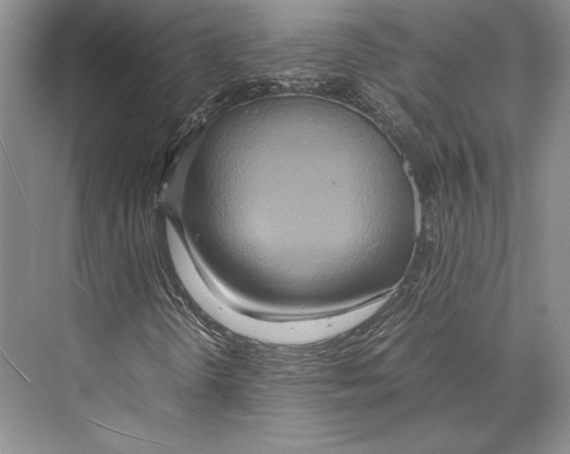 X0000072521298200608111709