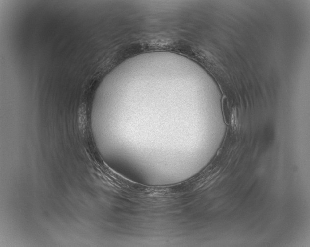 X0000072521299200608111709