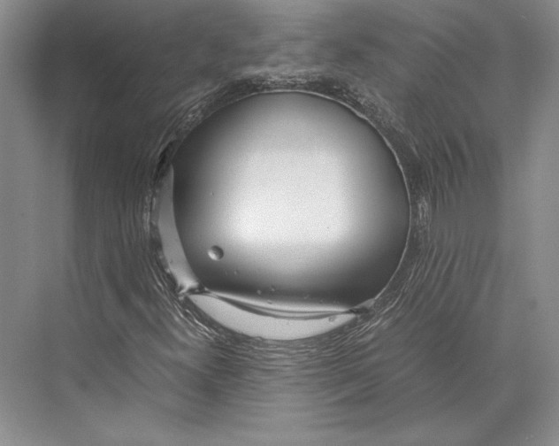 X0000072521300200608111709