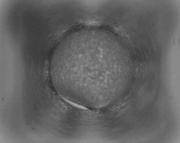 X0000072521301200608111709