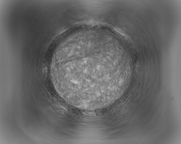 X0000072521302200608111709