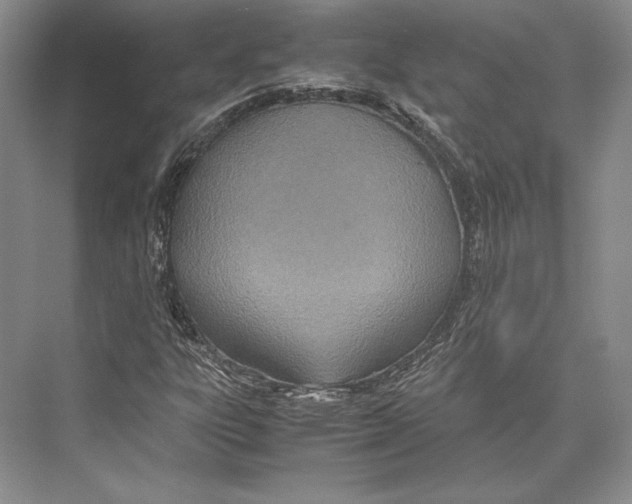 X0000072521303200608111709