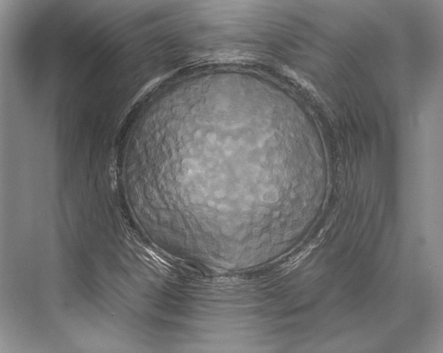 X0000072521306200608111710