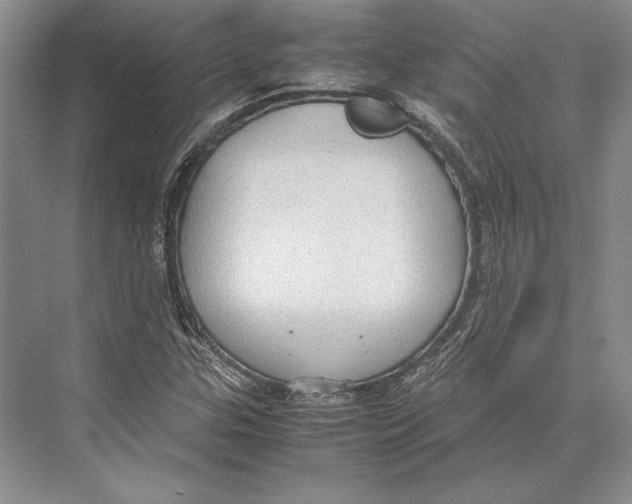 X0000072521307200608111710