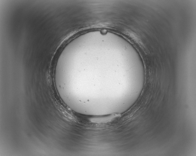 X0000072521308200608111710