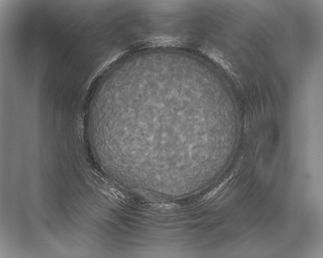 X0000072521309200608111710