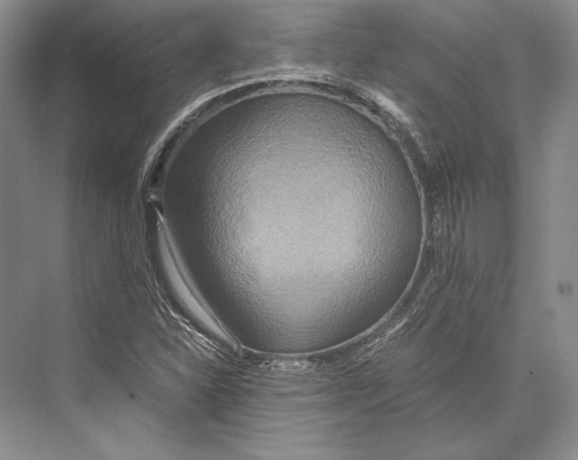 X0000072521310200608111710