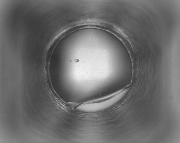 X0000072521312200608111710