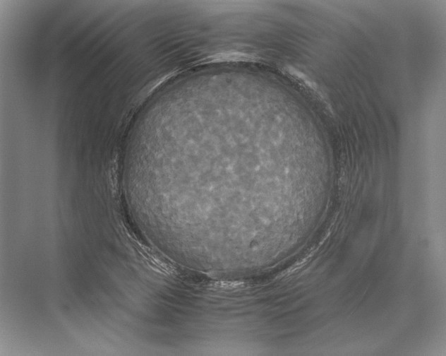 X0000072521313200608111710