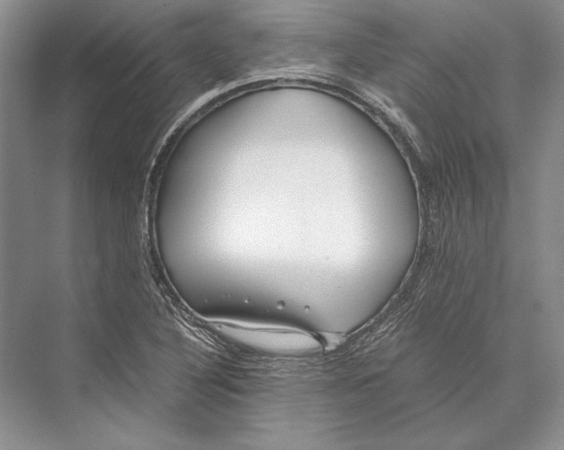 X0000072521316200608111710