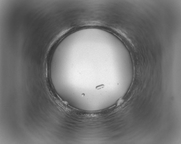 X0000072521317200608111710