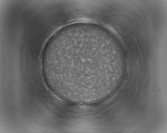 X0000072521318200608111710