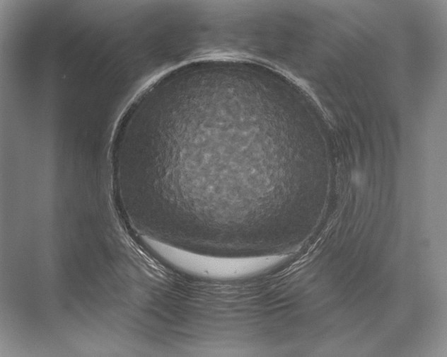 X0000072521319200608111710