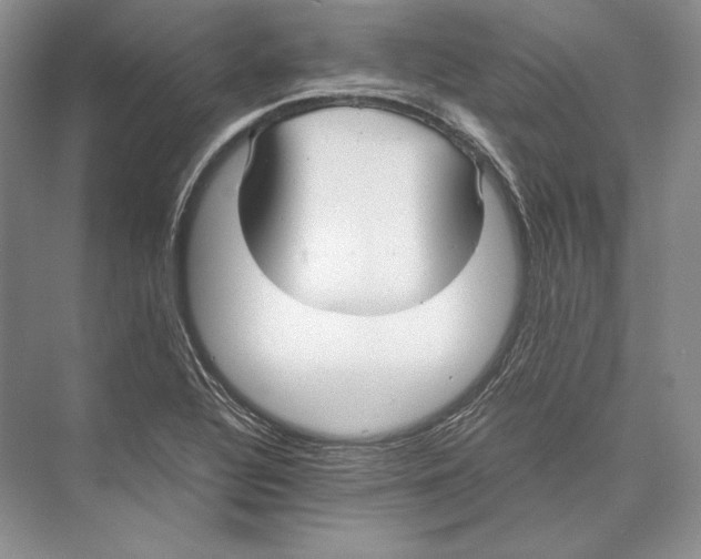 X0000072521320200608111710