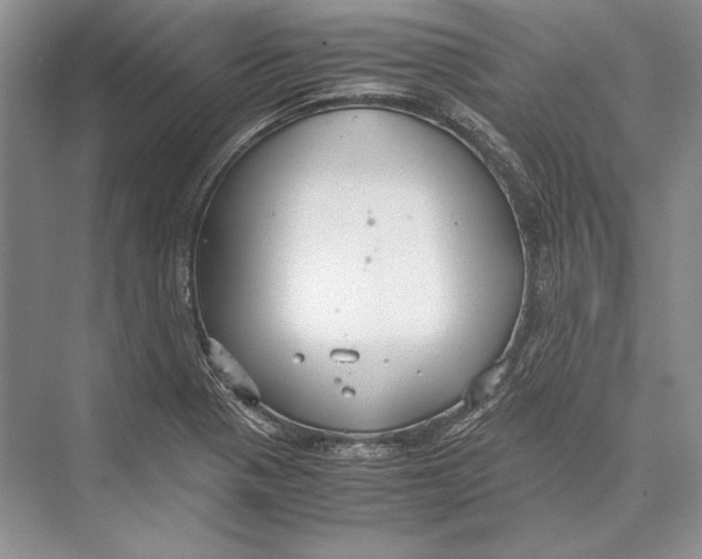 X0000072521321200608111710