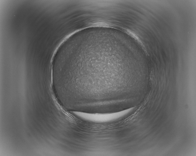 X0000072521323200608111710