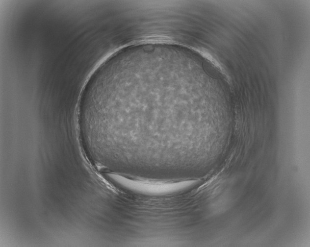 X0000072521325200608111710