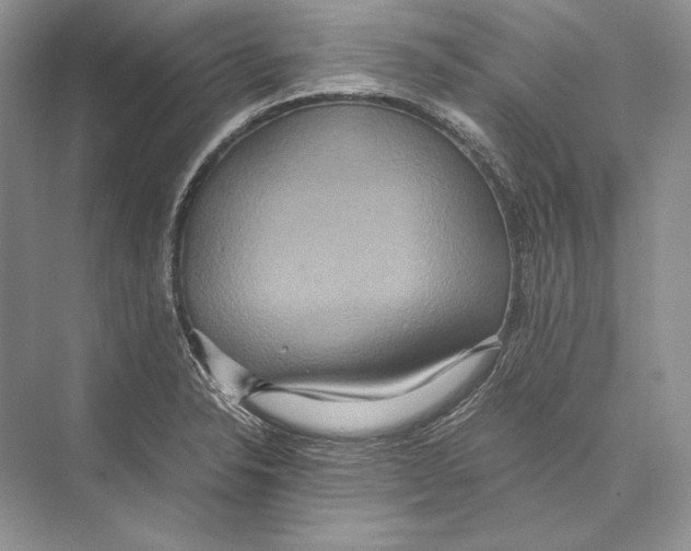 X0000072521326200608111710