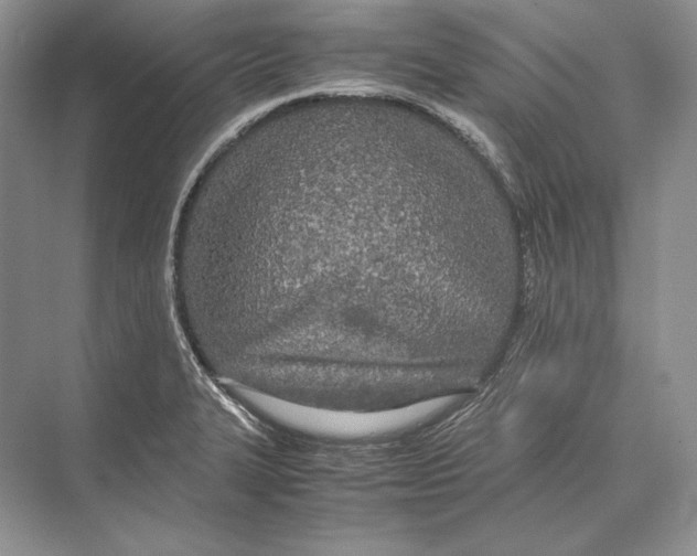 X0000072521327200608111710