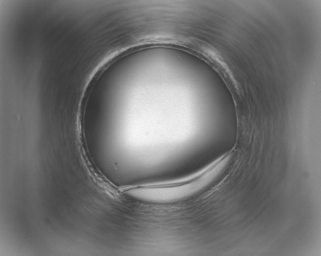 X0000072521328200608111710