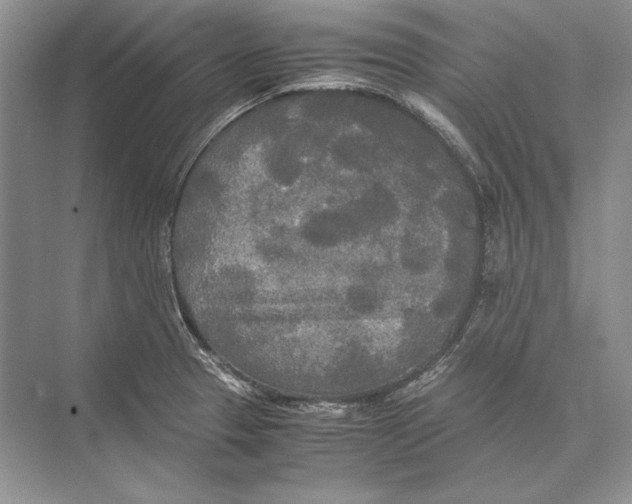 X0000072521329200608111710