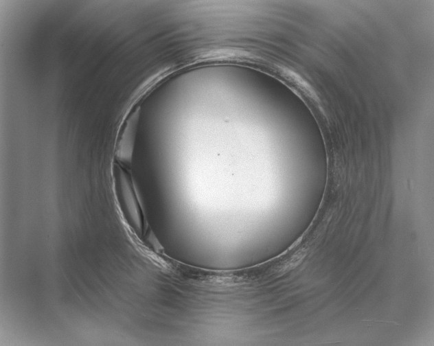 X0000072521330200608111710