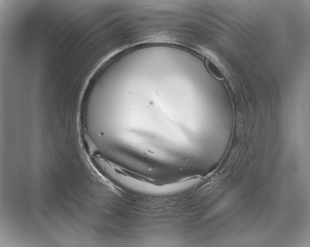 X0000072521331200608111710