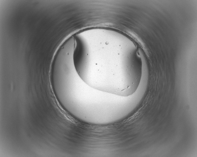 X0000072521332200608111710