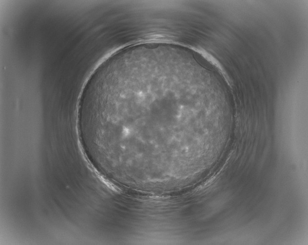 X0000072521333200608111710