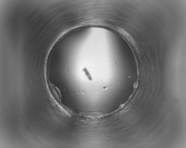 X0000072521334200608111710