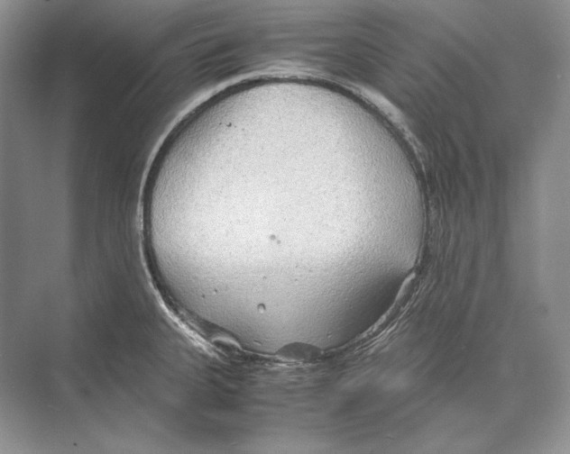 X0000072521335200608111710