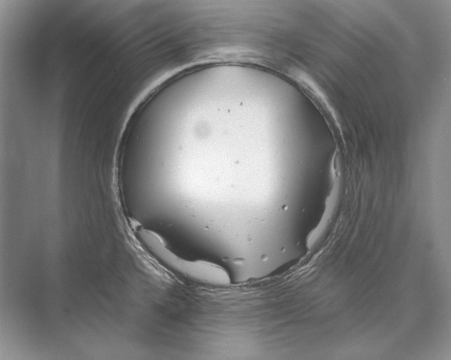 X0000072521336200608111710