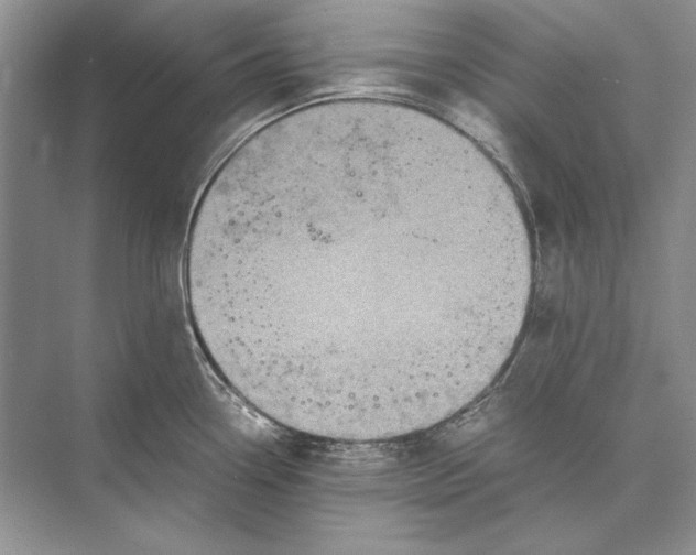 X0000072521338200608111710