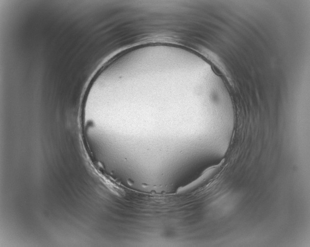 X0000072521339200608111710