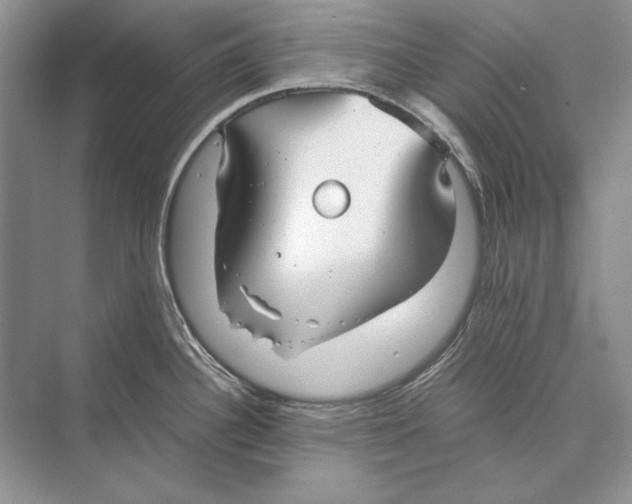 X0000072521340200608111710