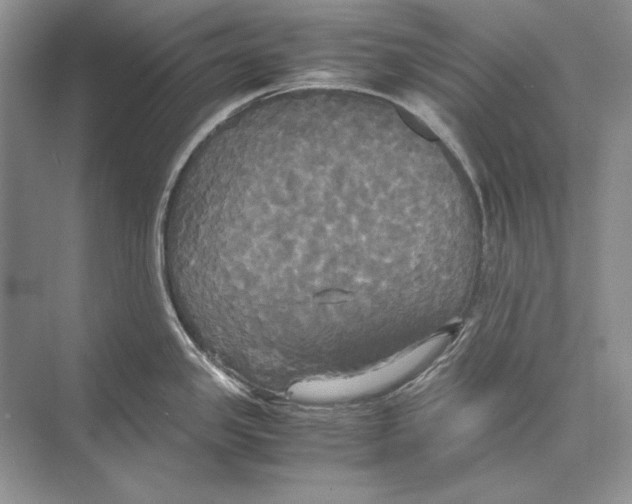 X0000072521341200608111710