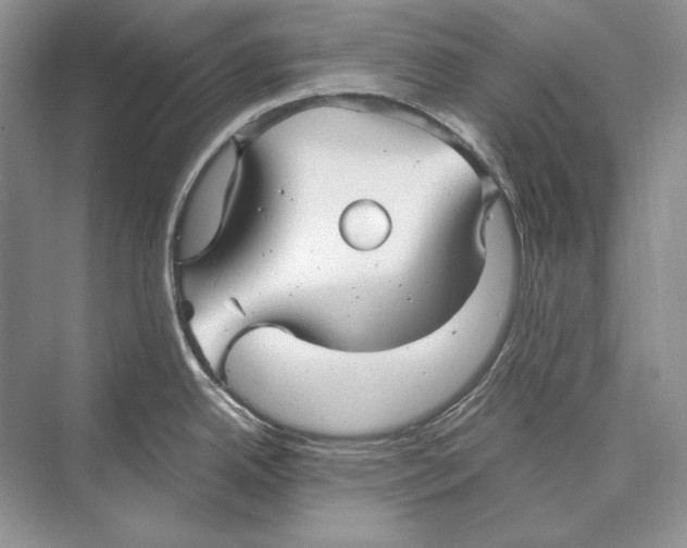 X0000072521342200608111710