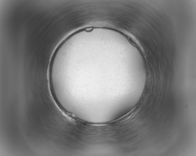 X0000072521343200608111710