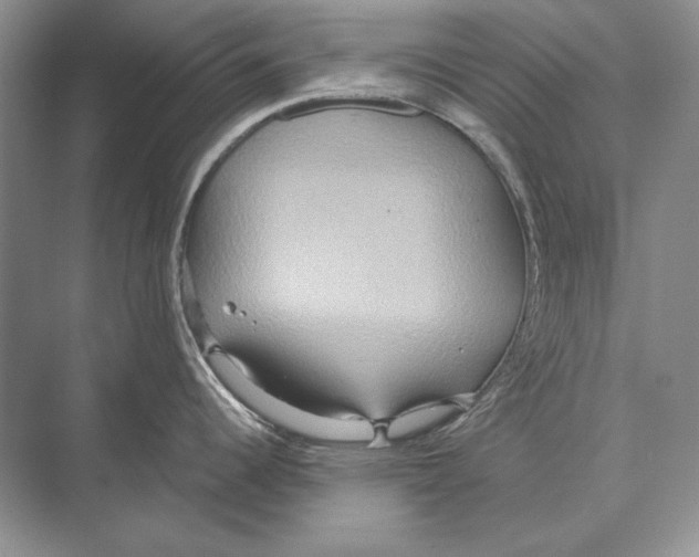 X0000072521344200608111710