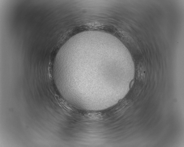 X0000072521346200608111709