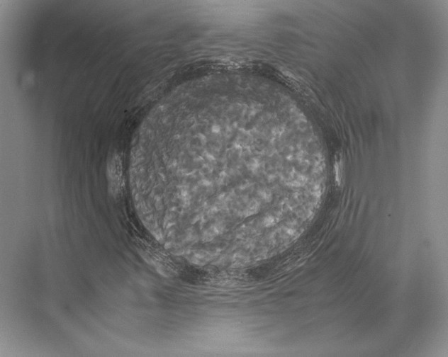 X0000072521347200608111709