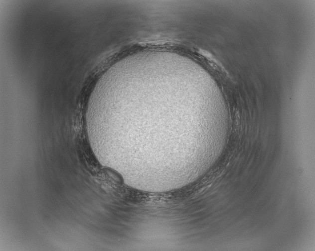 X0000072521350200608111709