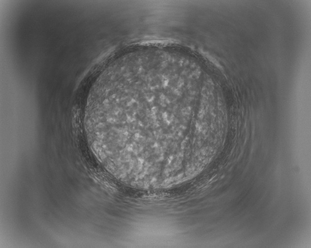 X0000072521351200608111709