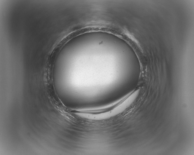 X0000072521352200608111709