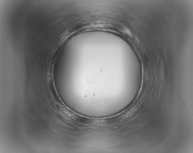 X0000072521353200608111709