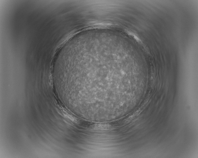 X0000072521354200608111709