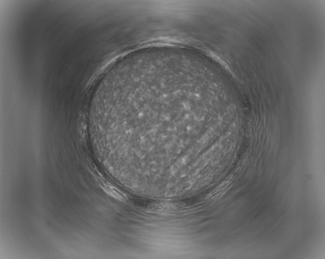 X0000072521355200608111709