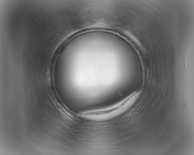 X0000072521356200608111709